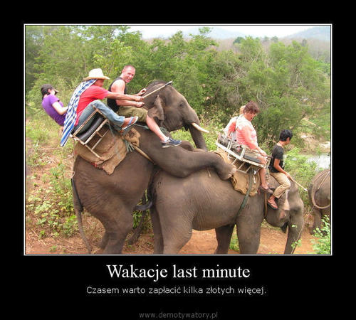 Warto wcześniej sprawdzić ofertę :-)))