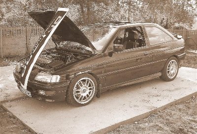 DSCN3645 (Medium).JPG