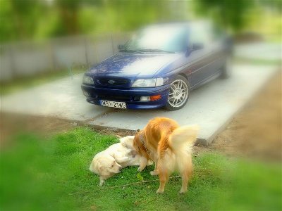 jaki Pan taki pies ;)