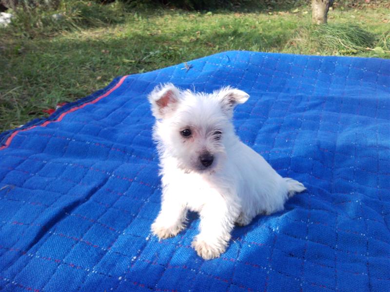 SNC00488 (Medium).jpg