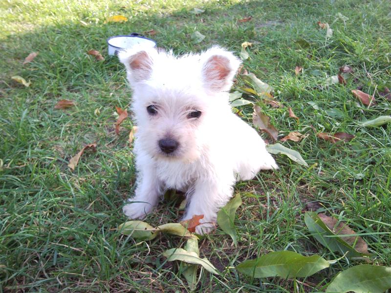 SNC00495 (Medium).jpg