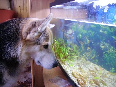 IMGP5295 (Large).JPG