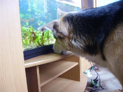 IMGP5292 (Large).JPG