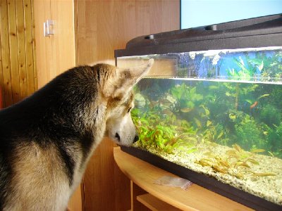 IMGP5275 (Large).JPG