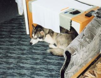 GŁOGóW ORIONA 1 (1999).jpg