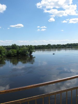 Ujście Narwi do Wisły 
<br />Narew na pierwszym planie