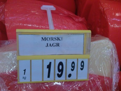 morski jagr.jpg