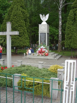 SN852933 [800x600].JPG