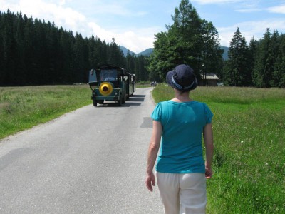 Dolina Chochołowska.jpg