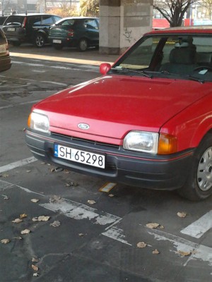 Zdjęcie0046 (Large).jpg