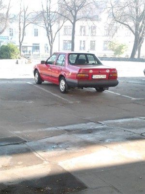 Zdjęcie0045 (Large).jpg