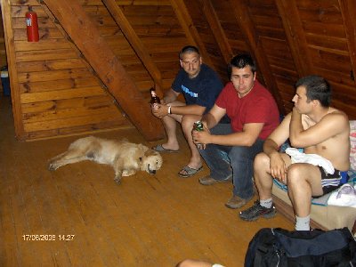 Essi (piesek), Yanek, Simo, Markko