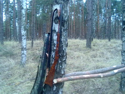 Łowca jeleni (DeerHunter),w swym naturalnym środowisku.