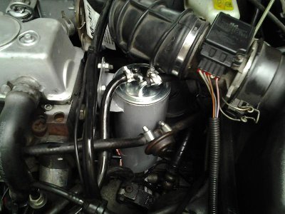 2012-02-19 11.20.39_800x600.jpg