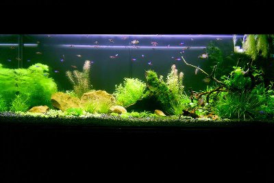 S4020298 copy_800x534.jpg