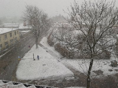 2012-04-01 08.07.53.jpg