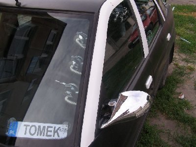 Gajgerki i chrom lustro