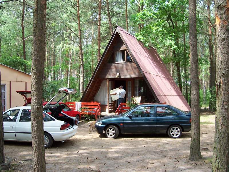 szukam drogi do domu