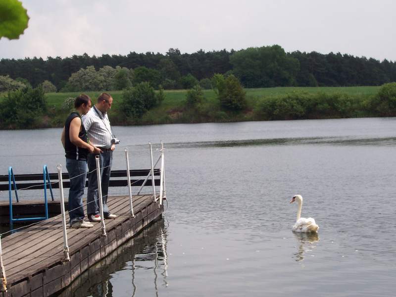 a moze zrobimy z niego maskotke klubu