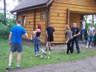 bernardynka 2012 103 (Kopiowanie).jpg