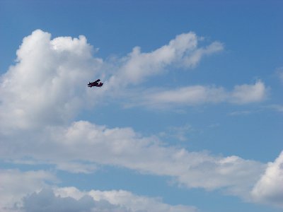 bernardynka 2012 134 (Kopiowanie).jpg