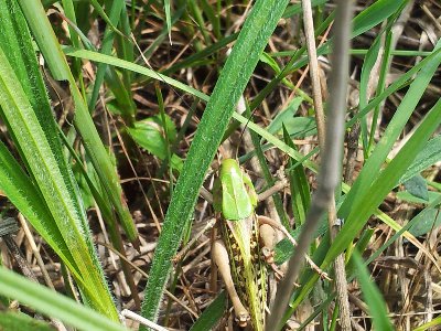 2012-06-13 11.52.58.jpg