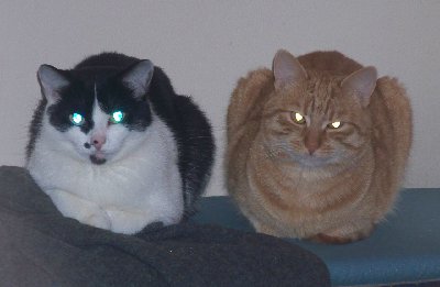 P-r-z-y-b-y-w-a-m-y------w------p-o-k-o-j-u---------z-e-m-i-a-n-i-e-------n-i-e------b-ó-j-c-i-e---s-i-ę