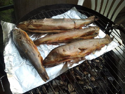 Zdjęcie0699.jpg (242.64 KiB) Przejrzano 393 razy Zdjęcie0699.jpg