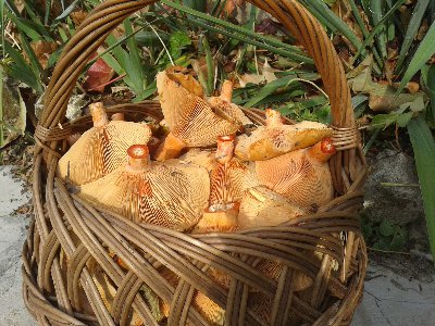 20131026_125935 (Kopiowanie).jpg