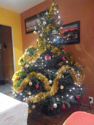 IMG_20131225_213932_1 [640x480].jpg