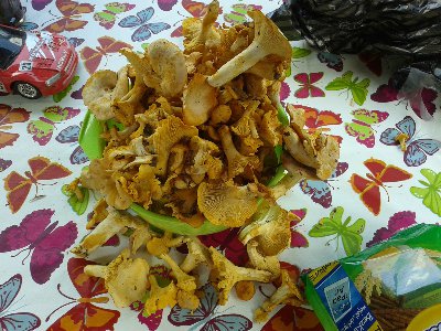 IMG_20140706_125119 (Kopiowanie).jpg