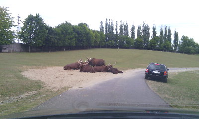 IMG_20150724_151115.jpg (846.96 KiB) Przejrzano 372 razy IMG_20150724_151115.jpg