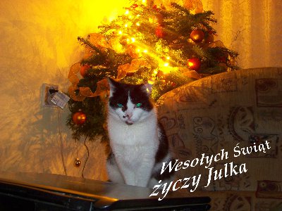 Życzenia z Julką mini.jpg