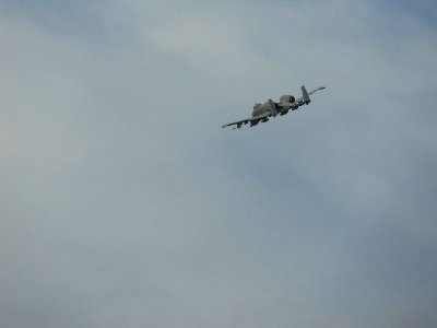 DSC00135 [1280x768].JPG