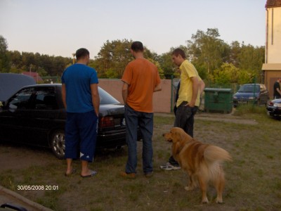 HPIM4290 (Large).JPG