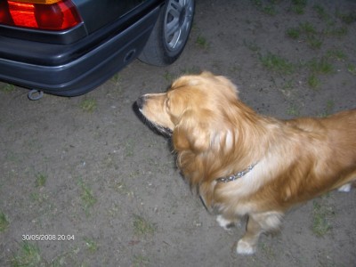 HPIM4294 (Large).JPG