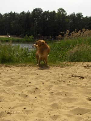 HPIM4340 (Large).JPG