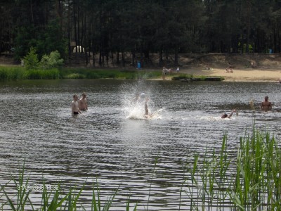 HPIM4341 (Large).JPG