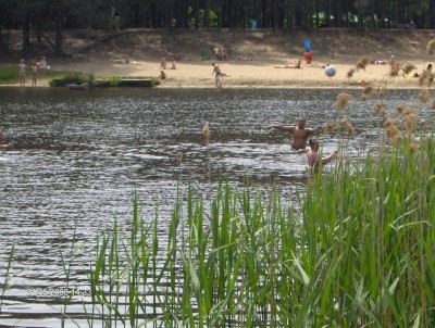 HPIM4343 (Large).JPG