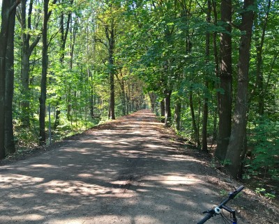 WP_20180819_12_50_06_Pro_LI (2).jpg