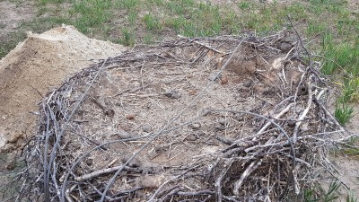 20181002_093948 — kopia.jpg