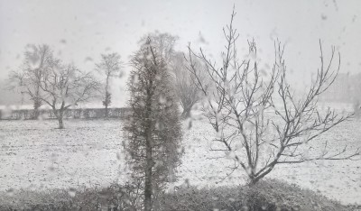 WP_20181223_14_10_39_Pro_LI (2).jpg