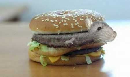 klik aby powiększyc
<br />&amp;gt;&amp;gt;&amp;gt;MYSZBURGER&amp;lt;&amp;lt;&amp;lt;