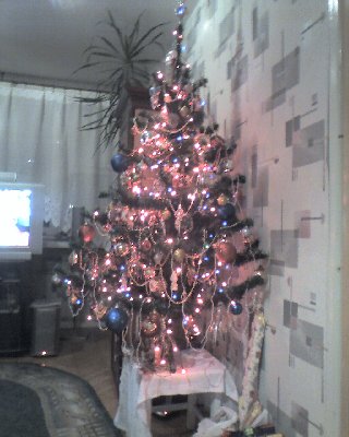 CHOINKA - NAJPIęKNIEJSZE DRZEWKO śWIATA !!!