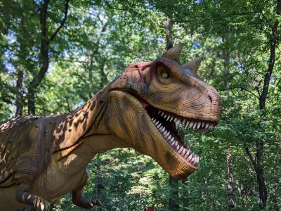 PXLL_20220815_100853504.PORTRAIT.jpg (487.86 KiB) Przejrzano 383 razy PXLL_20220815_100853504.PORTRAIT.jpg