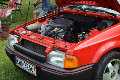 DSC_4840 (Duże).JPG