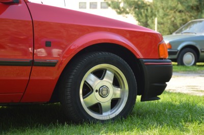 DSC_4882 (Duże).JPG