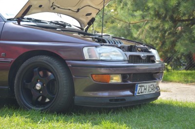 DSC_4883 (Duże).JPG