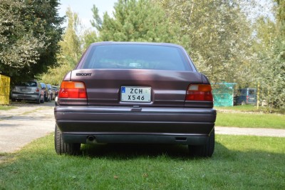 DSC_4916 (Duże).JPG