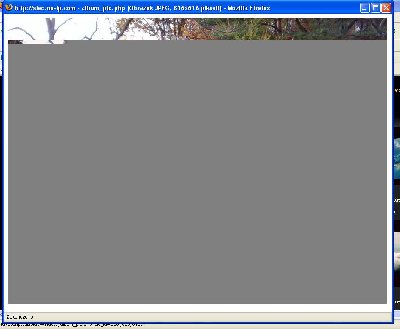 ...a tak wyglada powiekszone,przykladowe zdjecie.Czsami wczytuje sie cale ale kolory sa rozmazane.